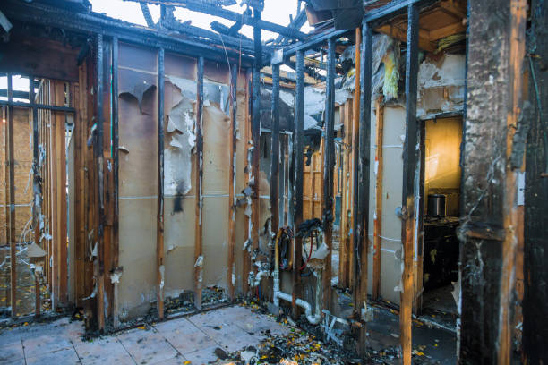 Professional Fire Damage Assessment technician working in Attalla, AL